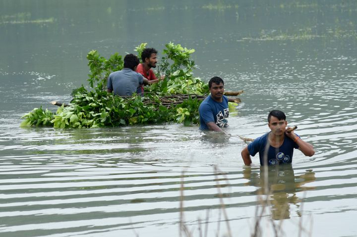 Villagers carry tree leaves in a flood affected village in Morigaon district of Assam on Monday, 20 July 2020. 