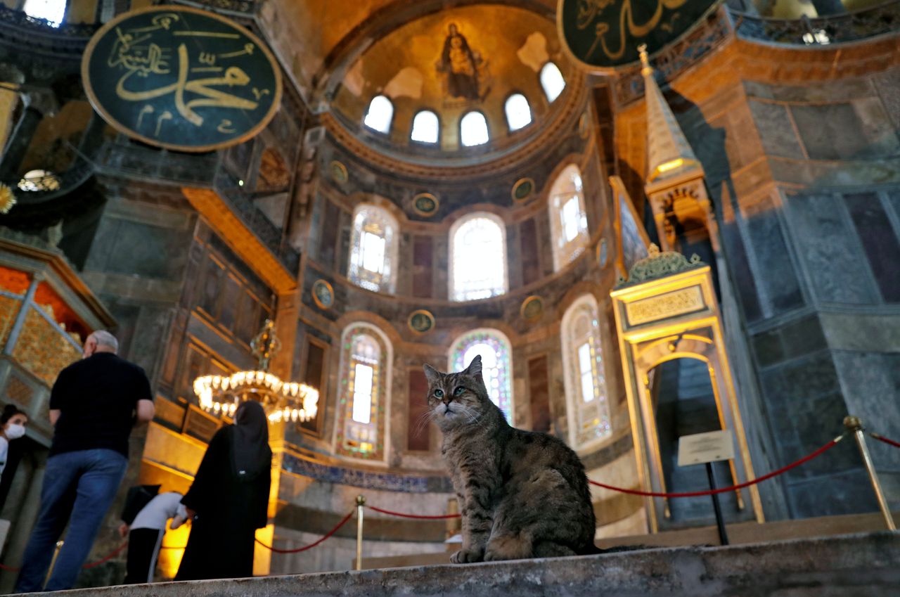 Εικόνα αρχείου, από τις 2 Ιουλίου, που δείχνει την τοιχογραφία της Παναγίας. Στην εικόνα και η Γκλι, η διάσημη γάτα, κάτοικος της Αγίας Σοφίας. Οι αρχές ανακοίνωσαν ότι θα την αφήσου να μείνει και μετά τη μετατροπή του ναού σε τζαμί. REUTERS/Murad Sezer/