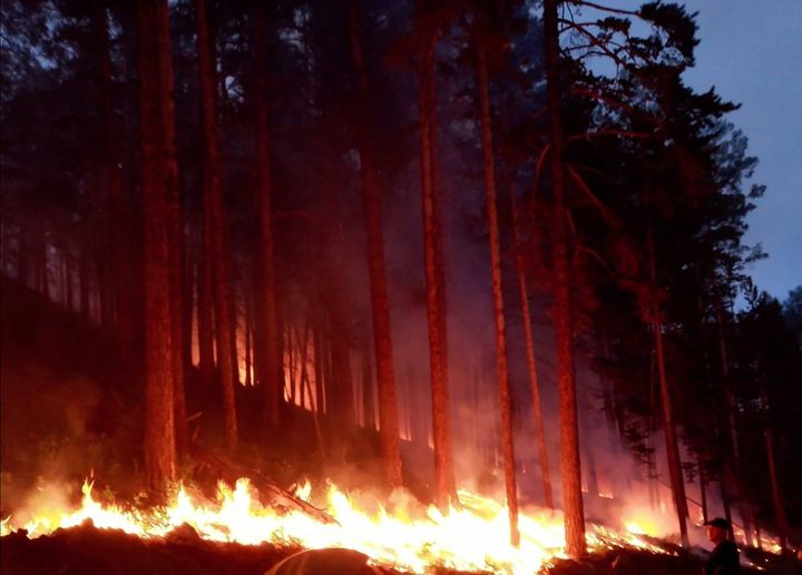 A wildfire rages in the forest of Buryatia, Russia on July 9.