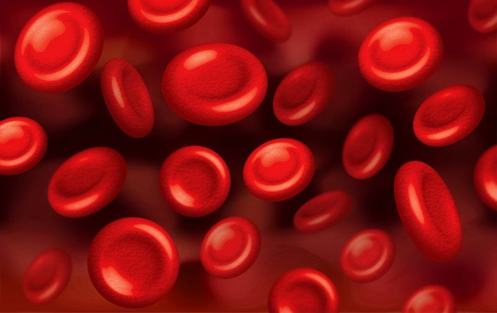 blood, cells of hemoglobin illustration