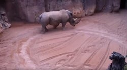 La ville de Marseille va interdire les cirques avec