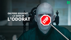 La perte d’odorat due au Covid enfin
