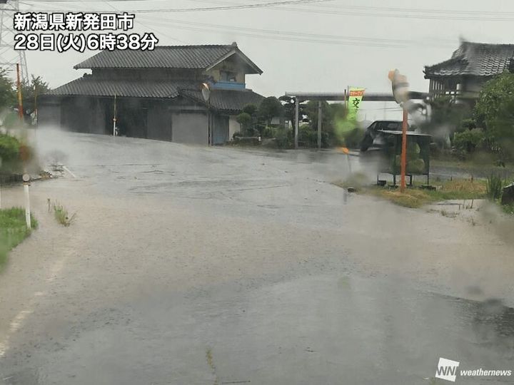 道路が冠水した様子 新潟県新発田市 28日(火)6時38分