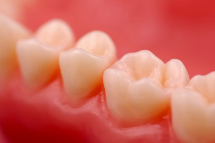 Photo of Teeth