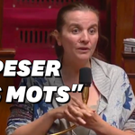 PMA: cette députée répond par sa propre histoire à ceux qui s'inquiètent de l'absence du