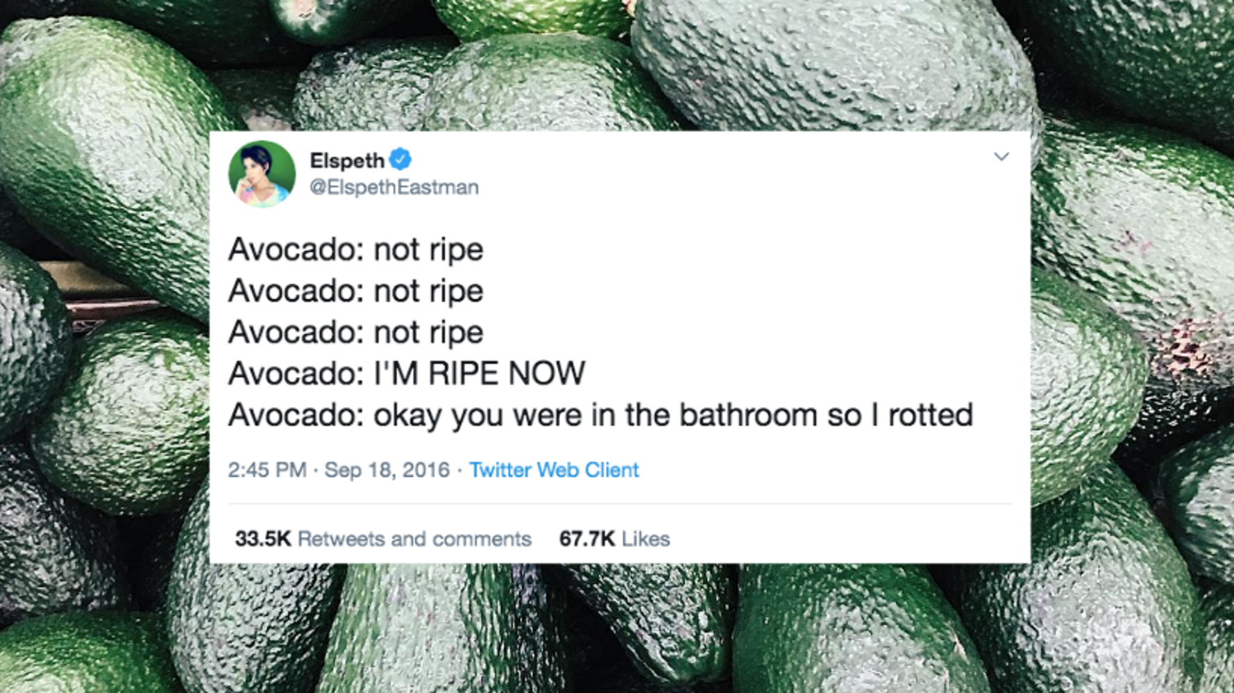 28 Funny And Relatable Tweets About Avocados | HuffPost Life 28 Funny And Relatable Tweets About Avocados | HuffPost Life