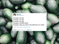 28 Funny And Relatable Tweets About Avocados | HuffPost Life 28 Funny And Relatable Tweets About Avocados | HuffPost Life