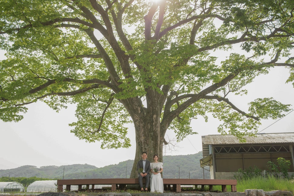 푸른과 종혁은 스튜디오가 아닌 산청을 배경으로 웨딩 촬영을 했다.