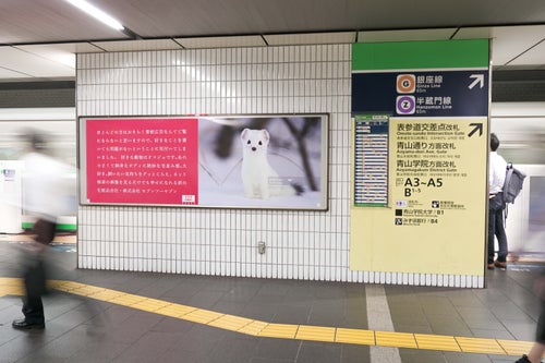 好きな動物はオコジョです」。表参道の駅に突如現れた話題の看板