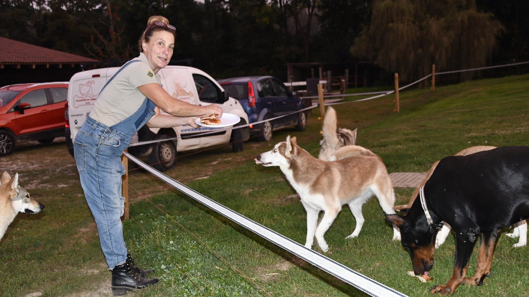 Picchiata Dai Malintenzionati Viene Soccorsa Dai Cani Che Ha Salvato Dalla Strada L Huffpost