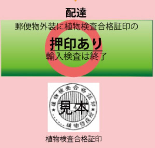 海外から突然届く 謎の種 ぜったい植えないで 相次ぐ被害 詐欺の可能性も ハフポスト