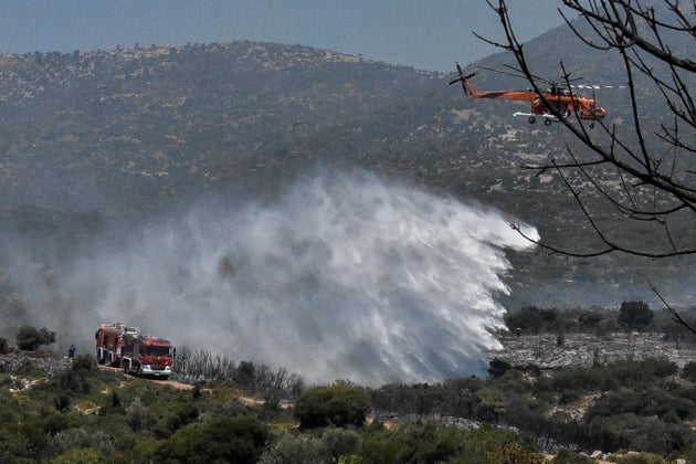 ΠΥΡΚΑΓΙΑ ΣΤΟ ΚΟΛΙΑΚΙ ΕΠΙΔΑΥΡΟΥ