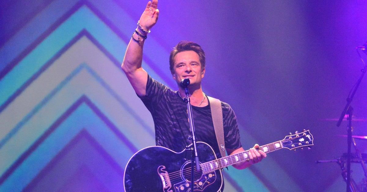 David Hallyday Renonce A La Succession De Johnny Le Huffpost