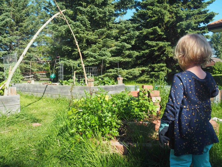 The author's child surveys their work.