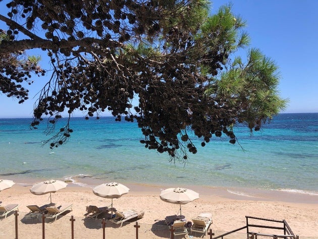 Dalla Costa Smeralda alla Barbagia: 10 motivi per scoprire il fascino della Sardegna Orientale Dalla Costa Smeralda alla Barbagia: 10 motivi per scoprire il fascino della Sardegna Orientale