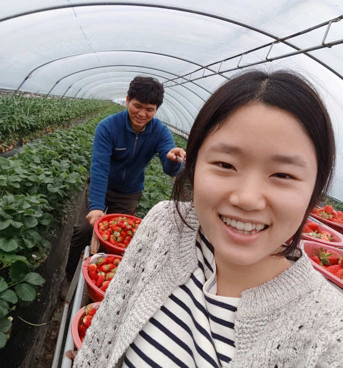 🍓🍓🍓🍓🍓🍓