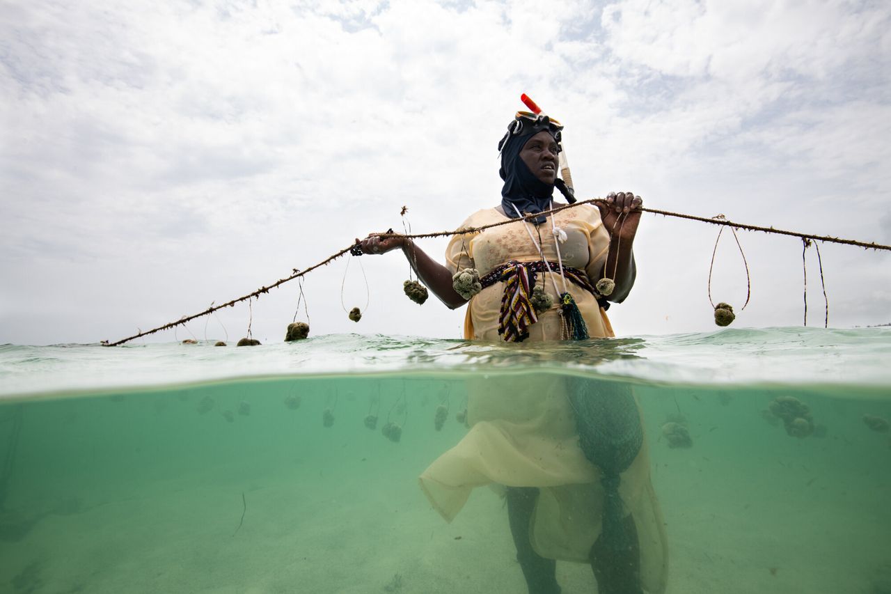 Nasir Hassan Haji holds a rope of sponges on her farm. She was one of the first 2 sponge farmers in Jambiani and previously farmed seaweed for 10 years.