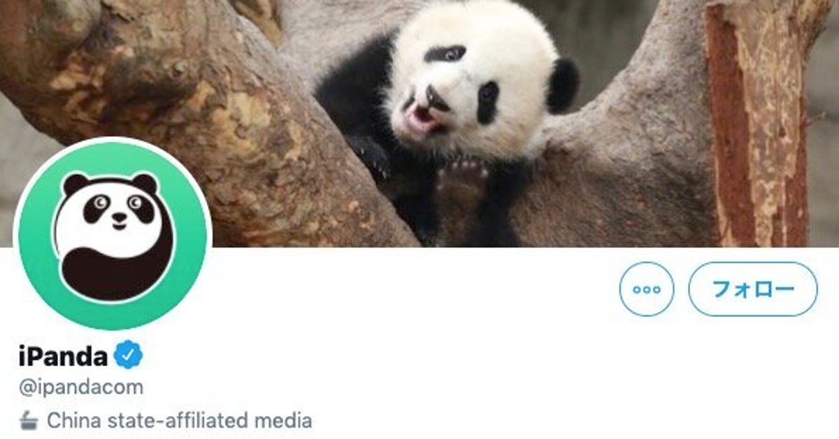 パンダは政治の道具 ツイッターが17万フォロワーのパンダ動画アカウントを 国営メディア 認定 ハフポスト