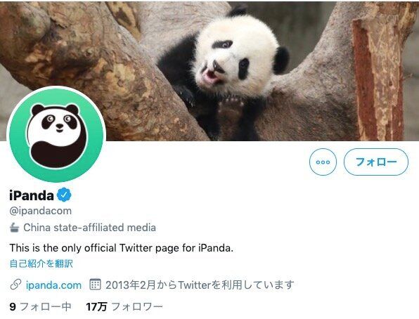 iPandaのツイッターアカウント