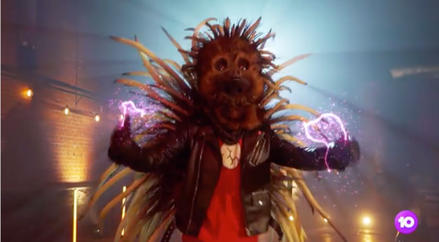 The Masked Singer Australia Clues Who Is The Echidna Huffpost Australia