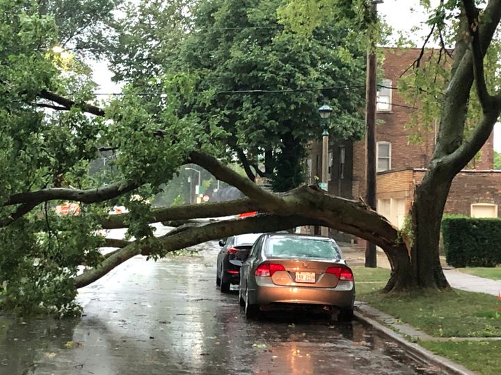 Part of a tree that had split at the trunk lies on a road in Oak Park, Ill., while also appearing not to have landed on a car parked on the road, after a severe storm moved through the Chicago area Monday, Aug. 10, 2020. (AP Photo/Dave Zelio)