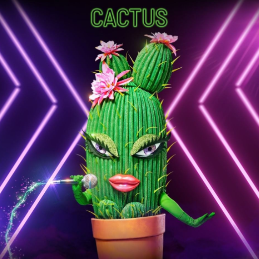 The Cactus on 'The Masked Singer' 