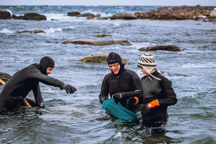 Foraging sustainably takes a lot of planning, requiring careful navigation of slippery rocks where seaweed tends to collect. 