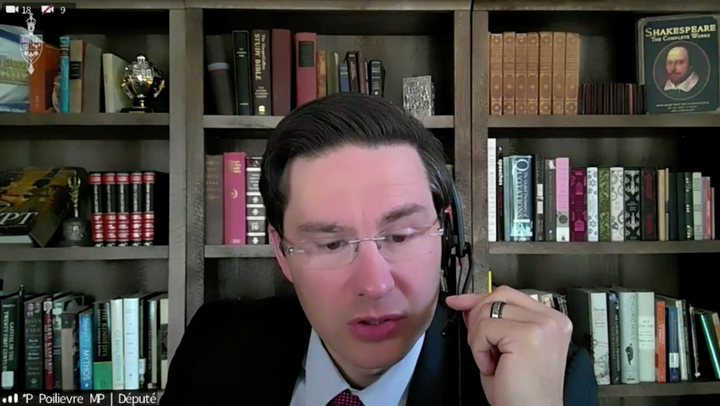 Conservative MP Pierre Poilievre is shown in a Parlvu screengrab of his virtual appearance before the House of Commons finance committee on Aug. 12, 2020.