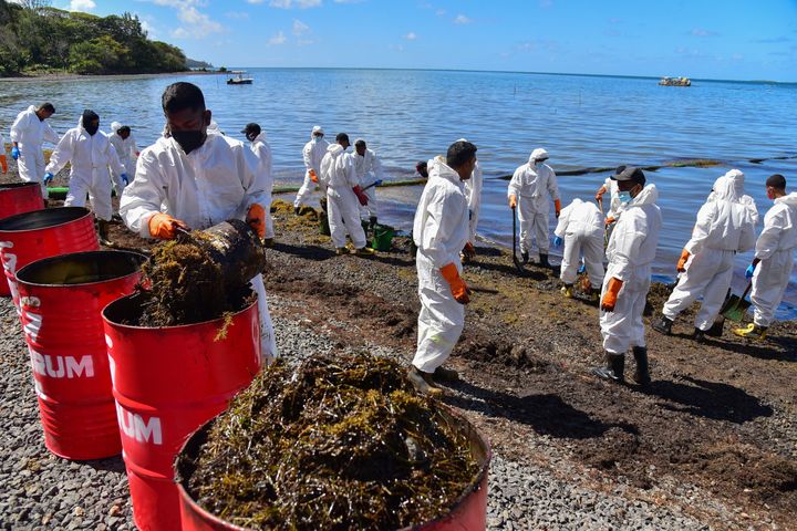 油まみれになった海藻も引き上げられた 8月13日撮影(Photo by BEEKASH ROOPUN/L'Express Maurice/AFP via Getty Images)