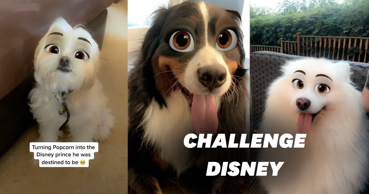 Sur Tiktok Ils Transforment Leurs Chiens En Personnages Disney Le Huffpost