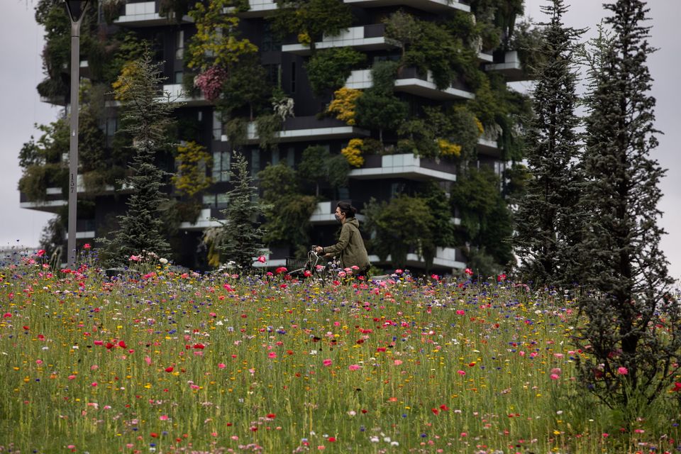 Italian cities have also adopted rewilding techniques