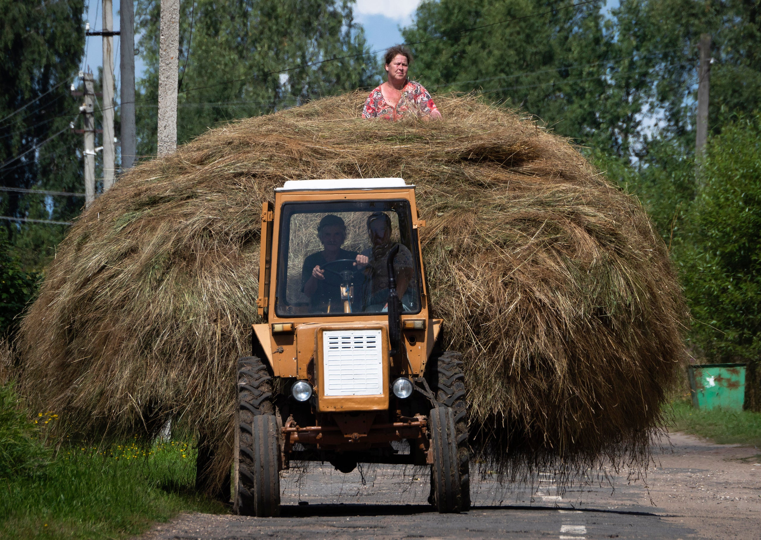 Трактор везет сено