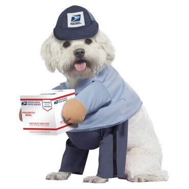 U.S. Mail Carrier Dog Costume, $17.99