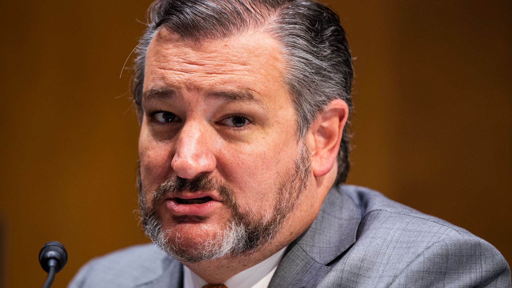 Ted Cruz's Attempt At Slamming Joe Biden Backfires Spectacularly