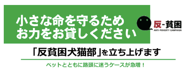 反貧困犬猫部のフライヤー