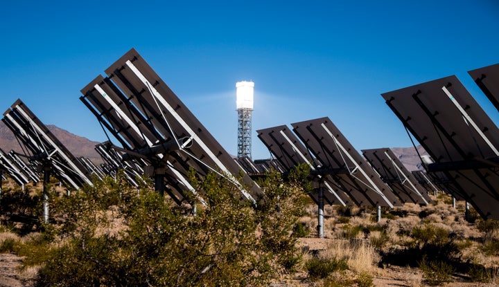 Seven years after land was cleared for the Ivanpah solar facility, both native shrubs and invasive grasses have grown up around the panels.