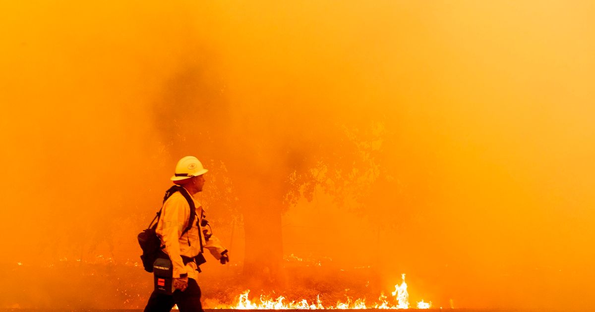 What Happens When A Wildfire Meets A Pandemic