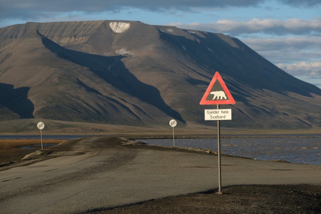 Mountains nearly devoid of snow stand behind a road and a polar bear warning sign during a summer heatwave...