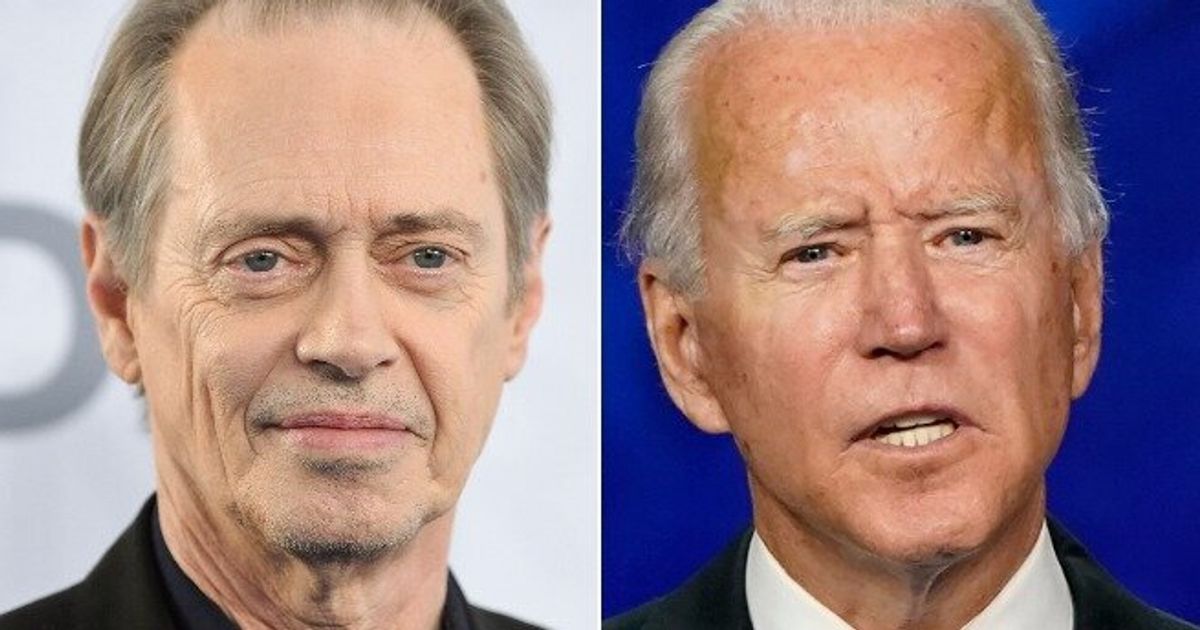 Steve Buscemi Spells Out Why Joe Biden Is Acceptable Under The