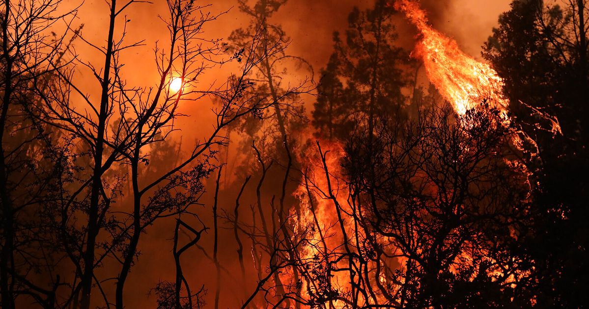 Firefighter Victimized By Looters As Wildfires Ravage California