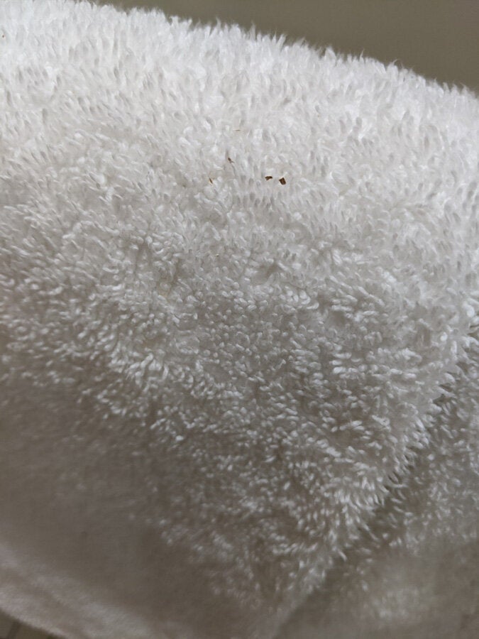 Debris on a towel in Farmer's room.