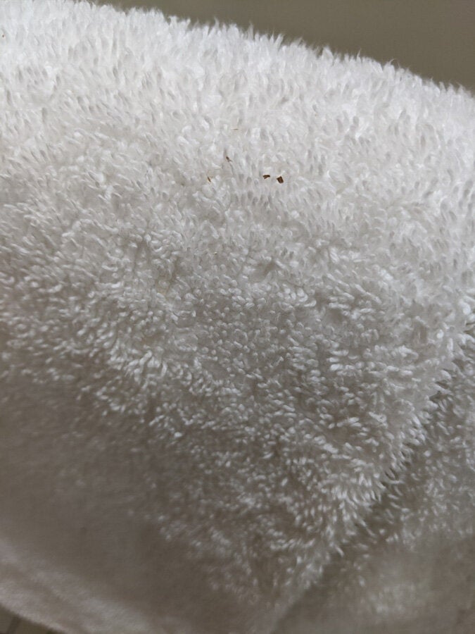 Debris on a towel in Farmer's room. 