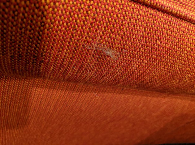 Farmer took photos of the clumps of hair on the hotel room's sofa.