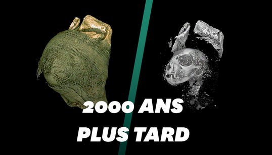 Ces chercheurs ont réussi à déballer des momies d’animaux en