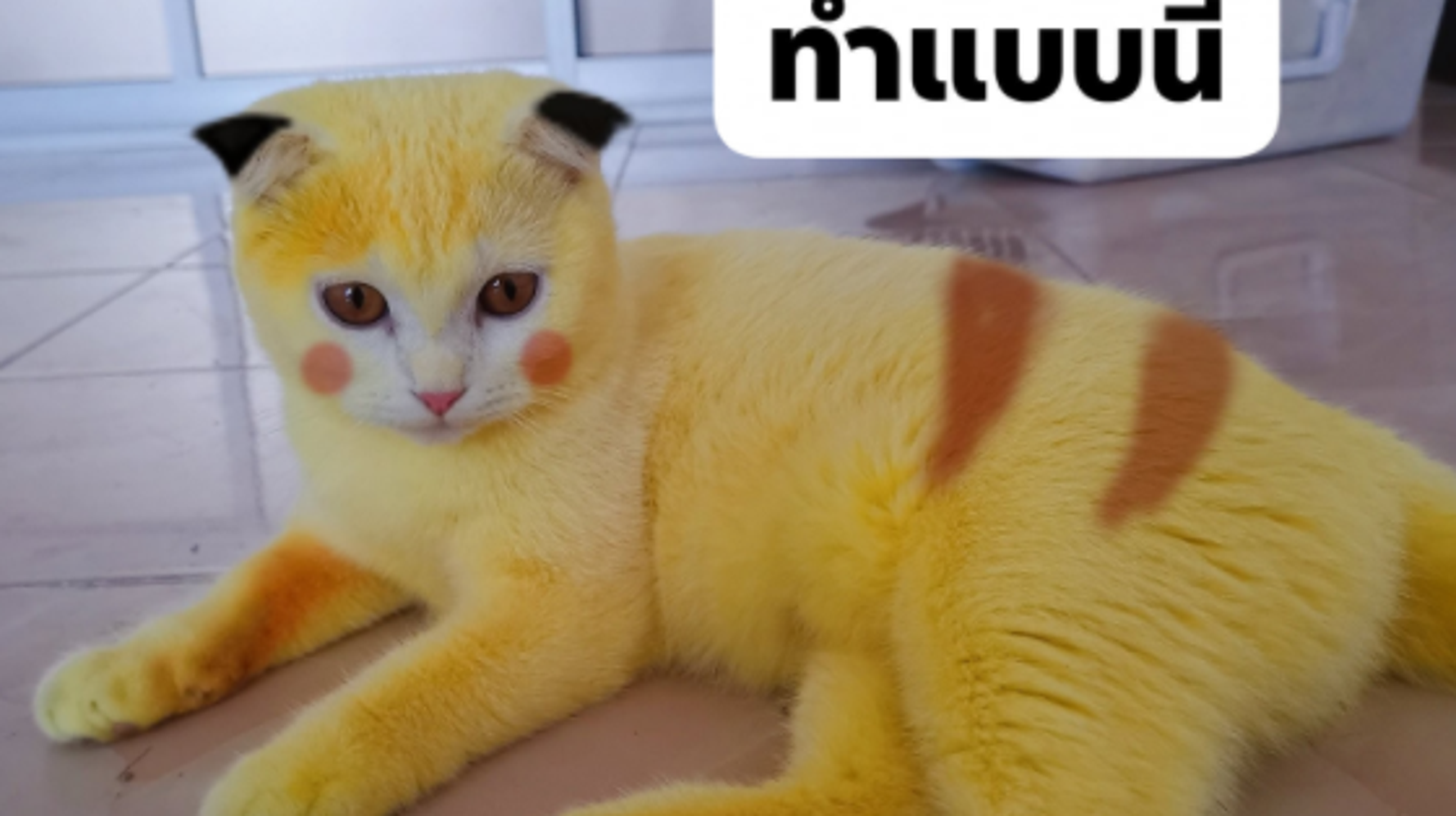 5f45f983240000a7043016ec.png?cache=kmCMdhXieJ&amp;ops=1778_1000