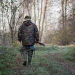 Macron interdit la chasse à la glu pour les grives et les merles cette