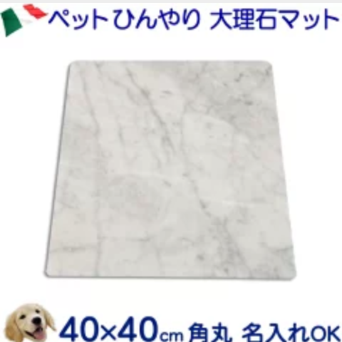 まだまだ暑い！犬・猫の熱中症対策は大丈夫？「ペット用冷感ひんやり 