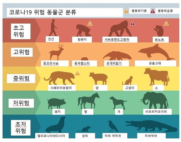 코로나19 위험 동물군 분류