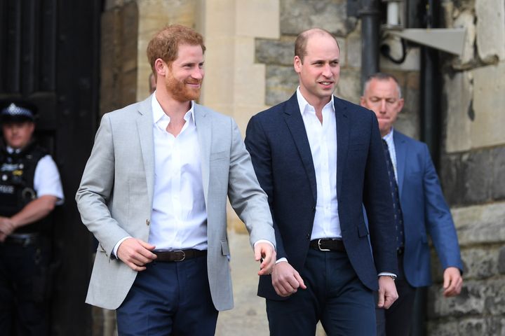 Harry and William issued a joint statement last week giving an update on a project in memory of Princess Diana.