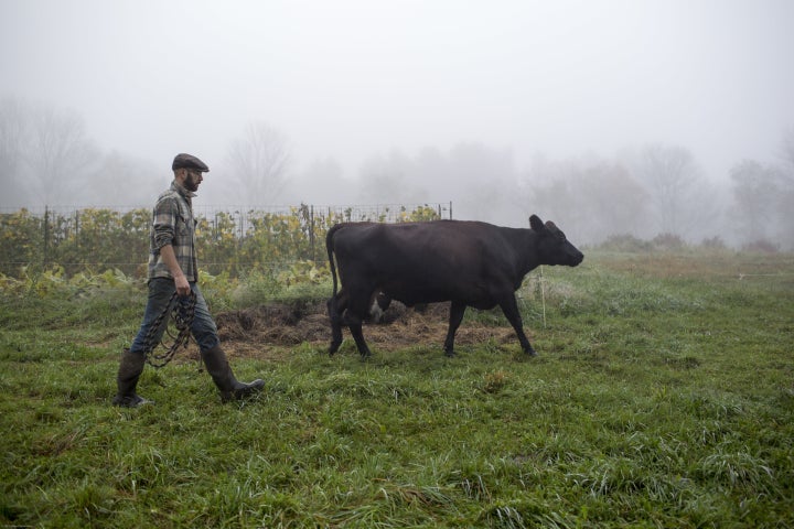 Unlike the rest of the country, the most progressive parts of Massachusetts' 1st Congressional District are often the most rural. That includes towns in the Berkshires, such as Sheffield.